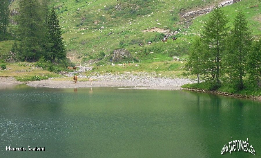 47 Lago della Cava.JPG